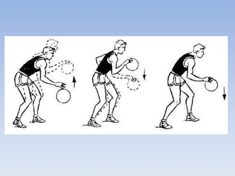 Ведение двумя в баскетболе. Ведение с высоким отскоком мяча в баскетболе. Высокий отскок мяча в баскетболе. Ведение мяча правой и левой рукой в баскетболе на месте. Техника ведения мяча одной рукой в баскетболе.
