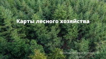 Карты лесного хозяйства
Выполнил Митюков Дмитрий, 331 группа