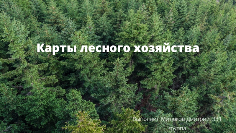 Карты лесного хозяйства
Выполнил Митюков Дмитрий, 331 группа