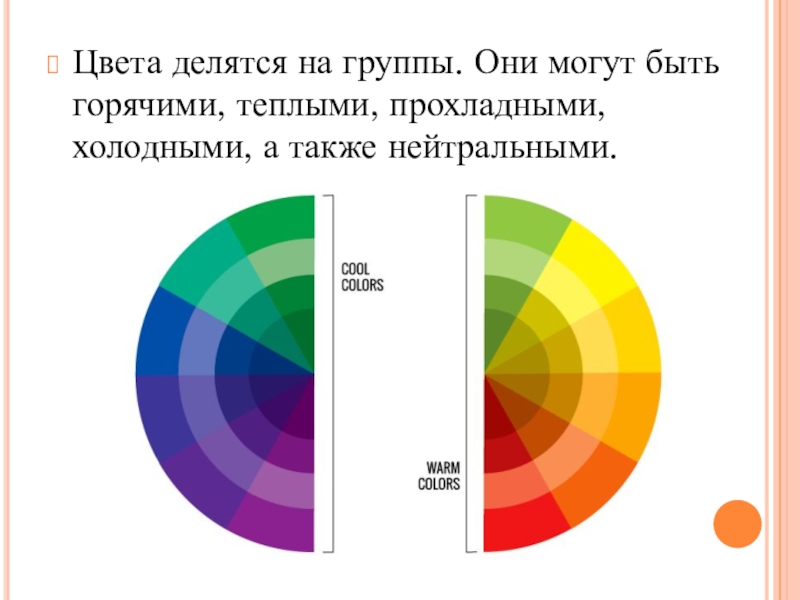 Детей делят на цвета. Цвета делятся на.