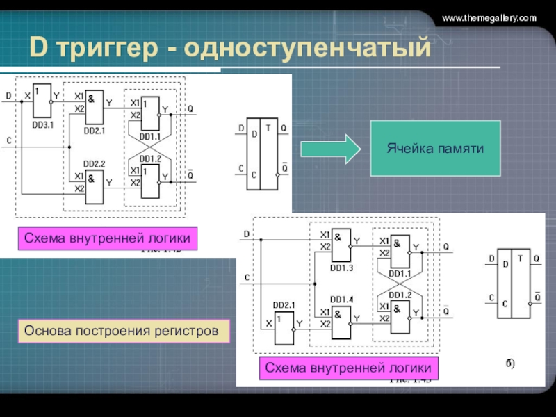 Ячейки общества схема