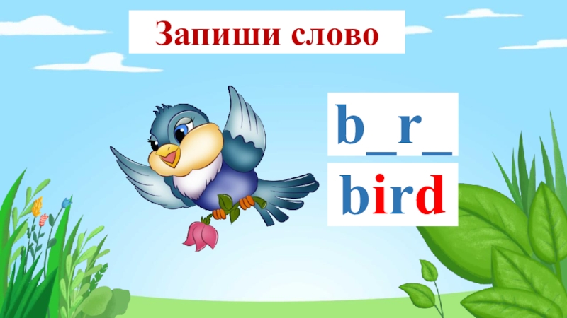 Найти слово птицы 3. Bird слово. ТВ деткам словечки птичка. Что за слова Bird.