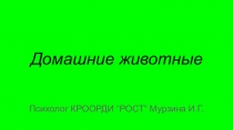 Домашние животные
Психолог КРООРДИ “РОСТ” Мурзина И.Г