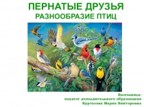 ПЕРНАТЫЕ ДРУЗЬЯ
РАЗНООБРАЗИЕ ПТИЦ
Выполнила:
педагог дополнительного