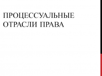 Процессуальные отрасли права