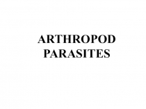 ARTHROPOD
PARASITES