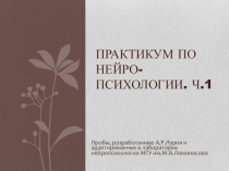 Практикум по нейро - психологии. Ч.1