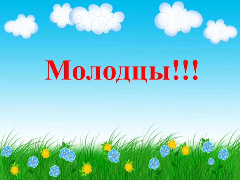 Молодец 4