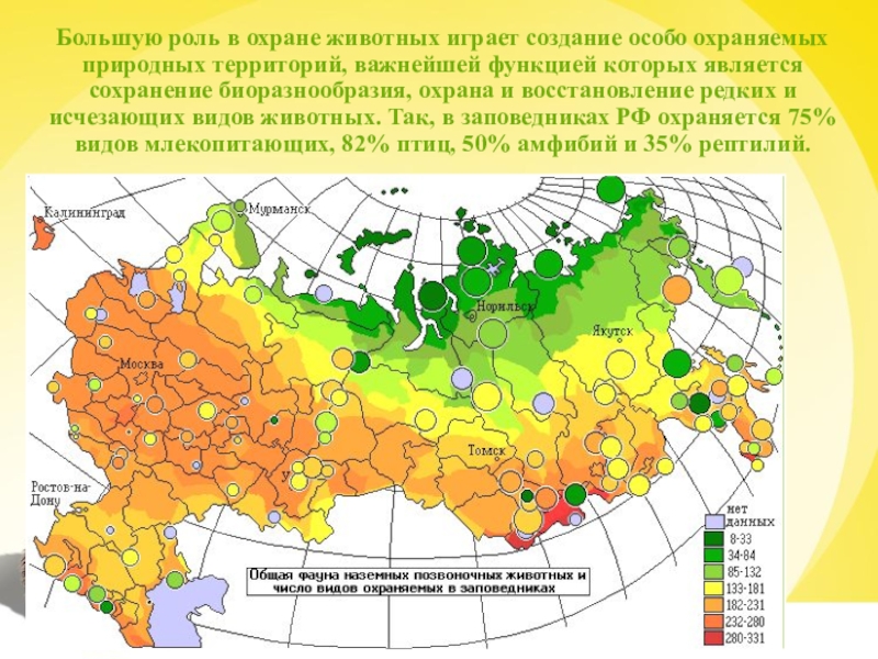 Природные зоны и биологические ресурсы россии. Карта растительности России. Типы растительности на карте. Карта распространения растительности.