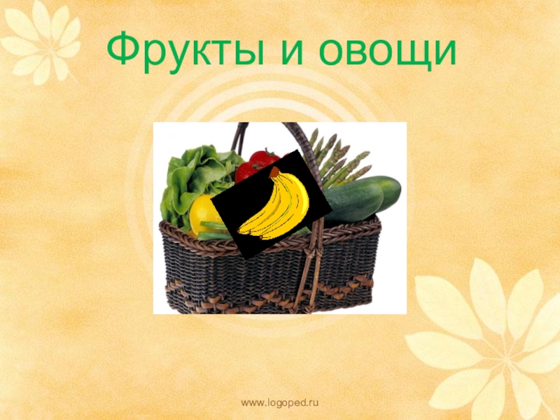 Фрукты и овощи
www.logoped.ru