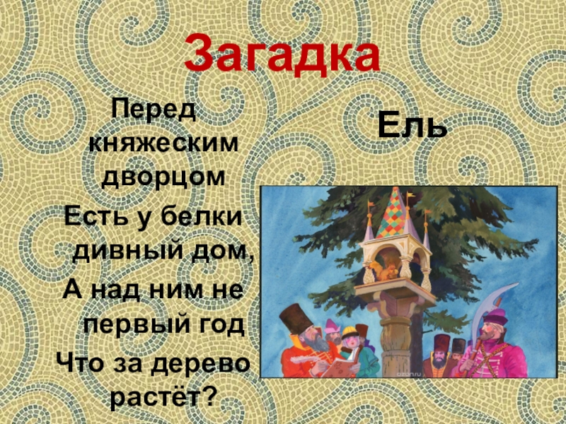 Ель перед дворцом. Загадка про ель. Ель растет перед дворцом. Загадка про ели. Ель растет перед дворцом картинка.