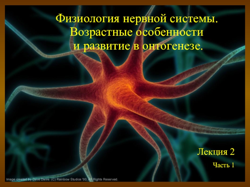 Физиология нервной системы.
Возрастные особенности
и развитие в