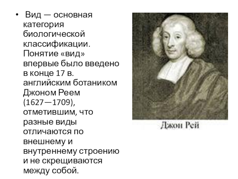 Впервые виду. Кто ввел понятие вид. Джон Рей систематика достижения. Двойное название вида ввел а) Джон Рей.