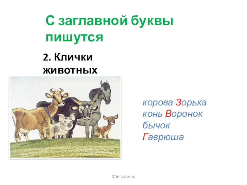 Клички животных