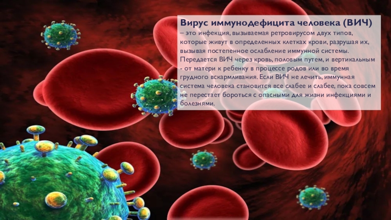 Вич название вируса. Вирус иммунодефицита. Вирус иммунодефицита (ВИЧ). Иммунодефицит человека. Клетка ВИЧ.