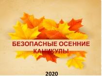 БЕЗОПАСНЫЕ ОСЕННИЕ КАНИКУЛЫ
2020