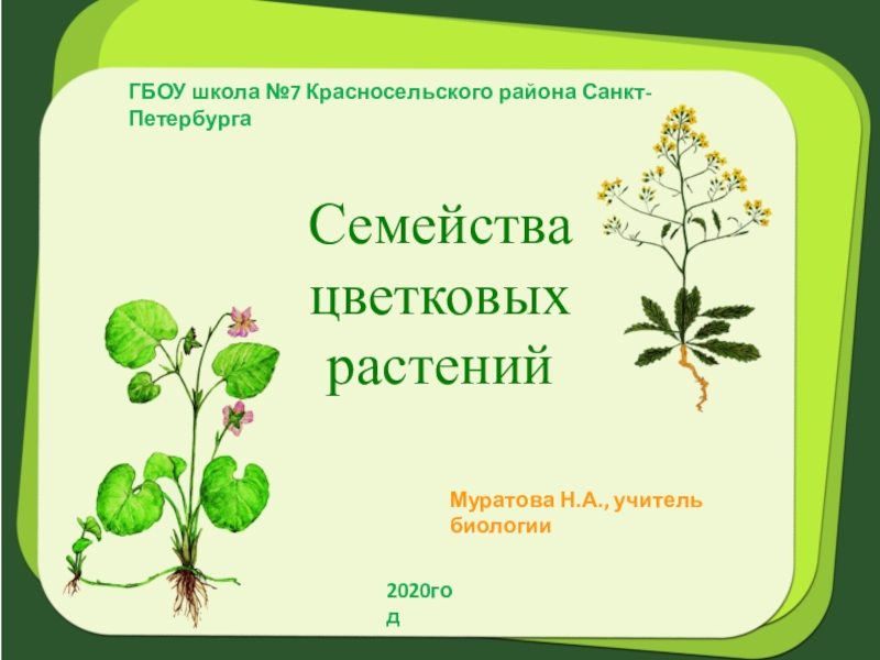 Семейства
цветковых
растений
ГБОУ школа №7 Красносельского района