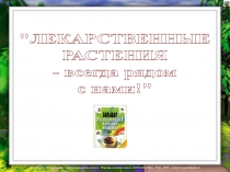 ЛЕКАРСТВЕННЫЕ
РАСТЕНИЯ
- всегда рядом
с нами!