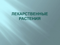 Лекарственные растения