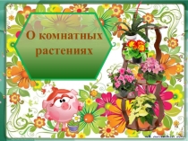 О комнатных
растениях