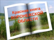 Презентация Microsoft PowerPoint (2)