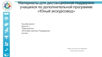 Материалы для дистанционной поддержки учащихся по дополнительной программе