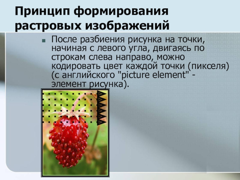 Как формируется изображение. Принцип формирования растрового изображения. Объясните принцип формирования растрового изображения. Принципы создания растровых изображений. Растровая Графика принцип формирования изображения.