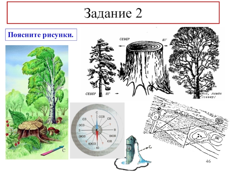 Определение сторон света рисунок