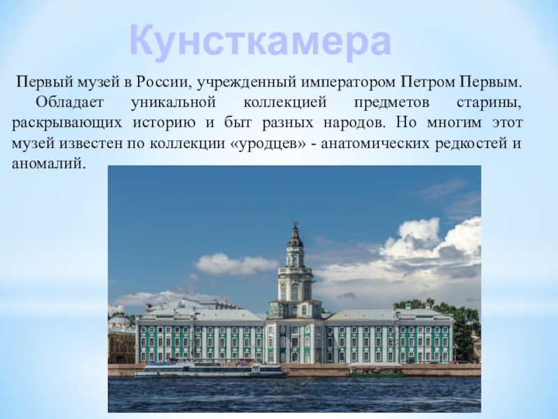 Санкт петербург проект кунсткамера