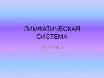 ЛИМФАТИЧЕСКАЯ СИСТЕМА