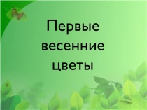 Первые весенние цветы