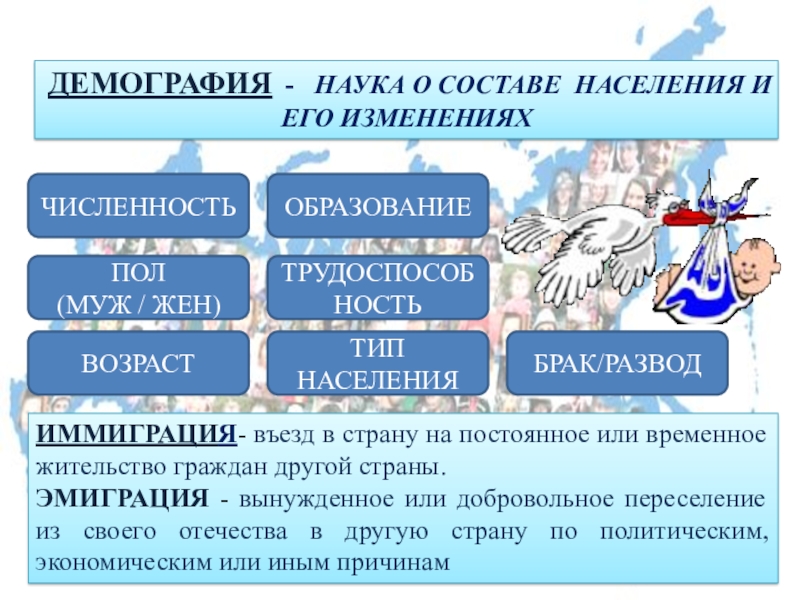 Разделы демографии. Демография наука изучающая состав населения по полу. Демография это наука о чём. Из каких разделов состоит демография.