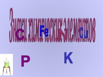 Знаки химических элементов
C
P
Fe
N
K
Cu