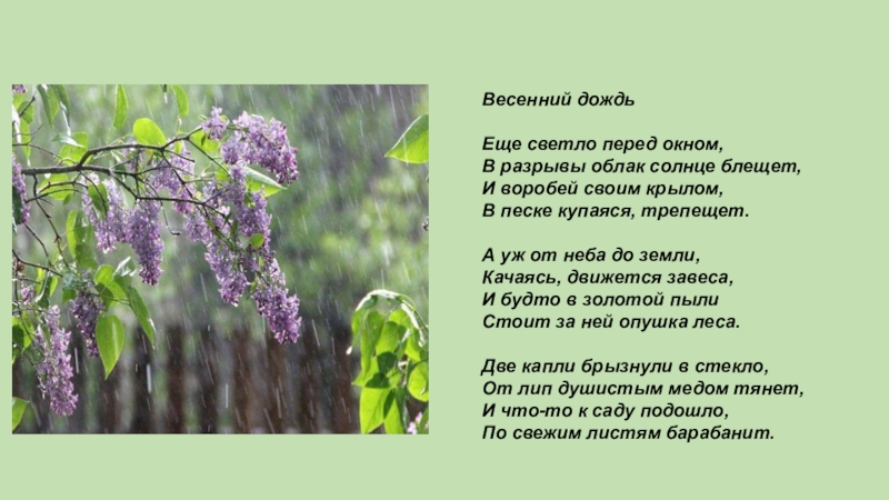 Стих весенний дождь. Ещё светло перед окном в разрывы облак солнце блещет. Весенний дождь презентация. Весенний дождик стих. Еще светало перед окном.