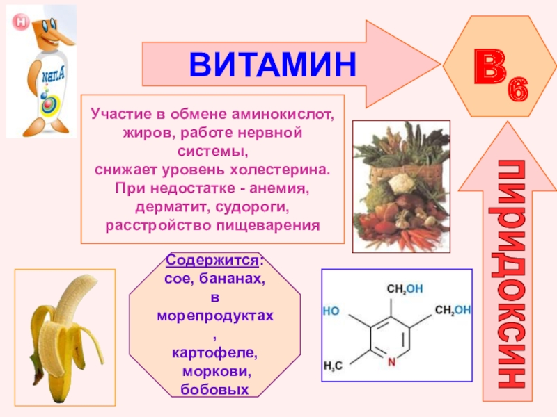 Аминокислоты жиры. Витамины участвующие в обмене аминокислот. Витан в для нервной системы. Участие витамина b6 в обмене жиров. Витамин b6 при недостатке.