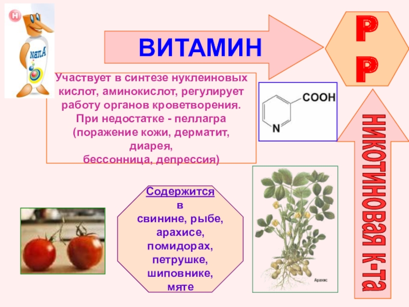 Все витамины синтезируются в организме человека. Витамин PP. Витамины в жизни растений. Витамины не синтезируемые в организме.