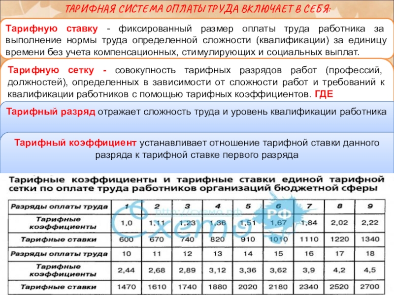 Тарифная сетка оплаты труда