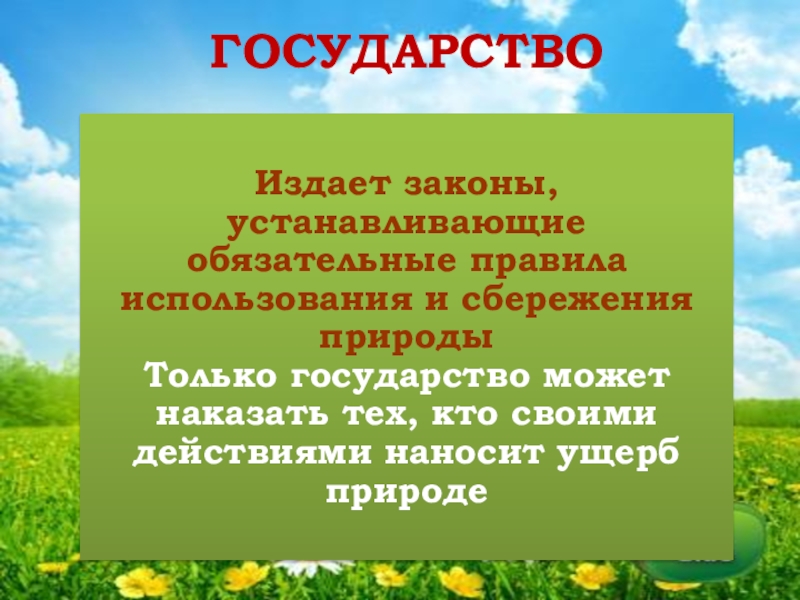 Презентация по обществу 7 класс закон на страже природы