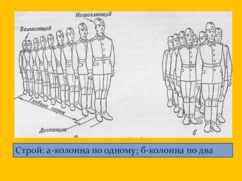 На рисунке определите где колонна а где шеренга