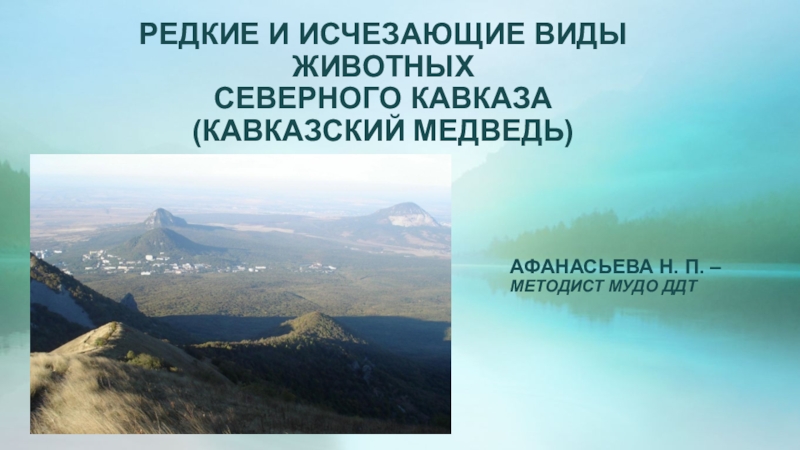 РЕДКИЕ И ИСЧЕЗАЮЩИЕ ВИДЫ ЖИВОТНЫХ СЕВЕРНОГО КАВКАЗА (КАВКАЗСКИЙ МЕДВЕДЬ)