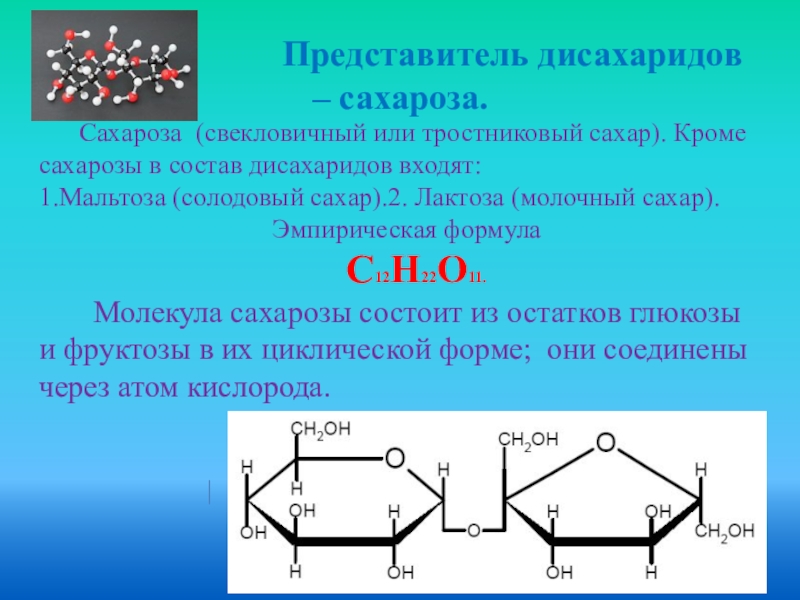 Представитель дисахаридов – сахароза.