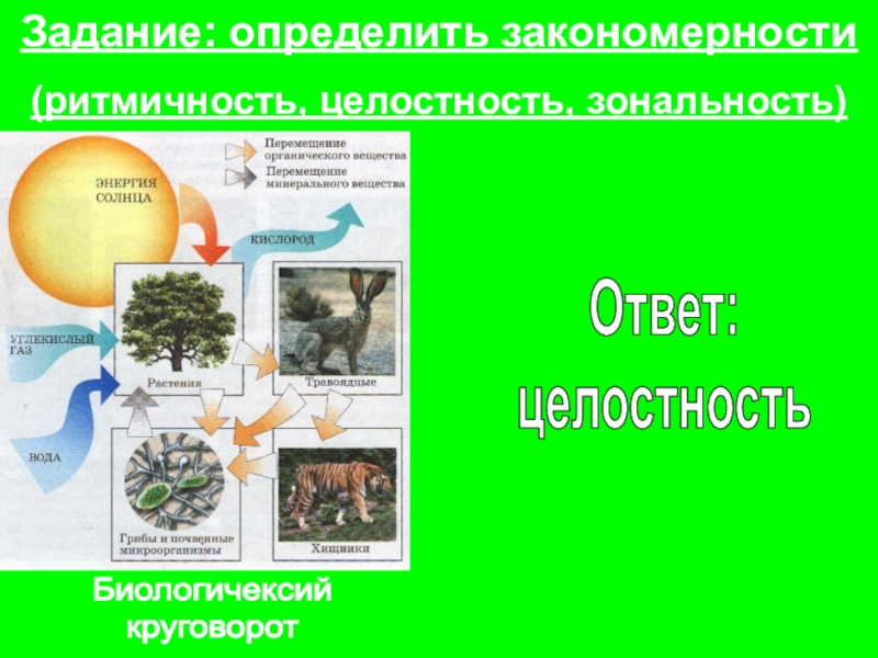 Рисунок целостность географической оболочки