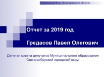Отчет за 2019 год Гредасов Павел Олегович