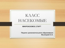 КЛАСС НАСЕКОМЫЕ