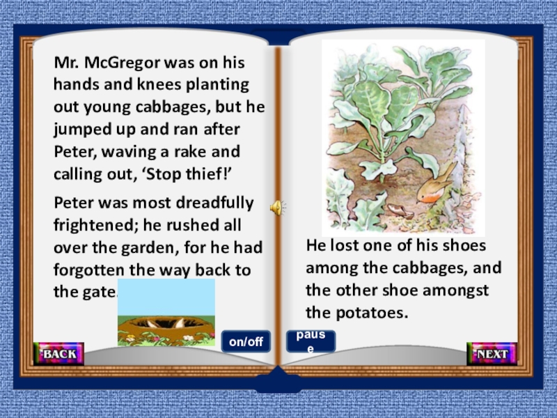Mr. McGregor was on his hands and knees planting out young cabbages, but he jumped up and