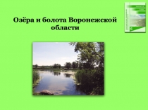Озёра и болота Воронежской области