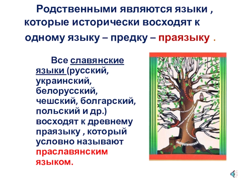 Предок славянских языков. Дерево родственных славянских языков. Русский язык родственные славянские языки. Языковое родство славянских народов. Родственные языки славянскому.