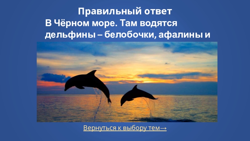 Вернуться к выбору тем→Правильный ответВ Чёрном море. Там водятся дельфины – белобочки, афалины и азовки
