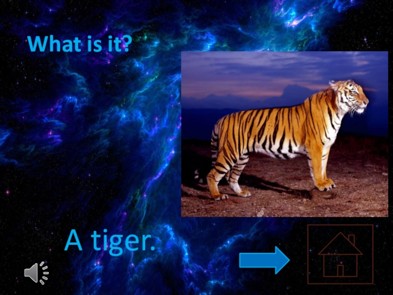 What is it?A tiger.