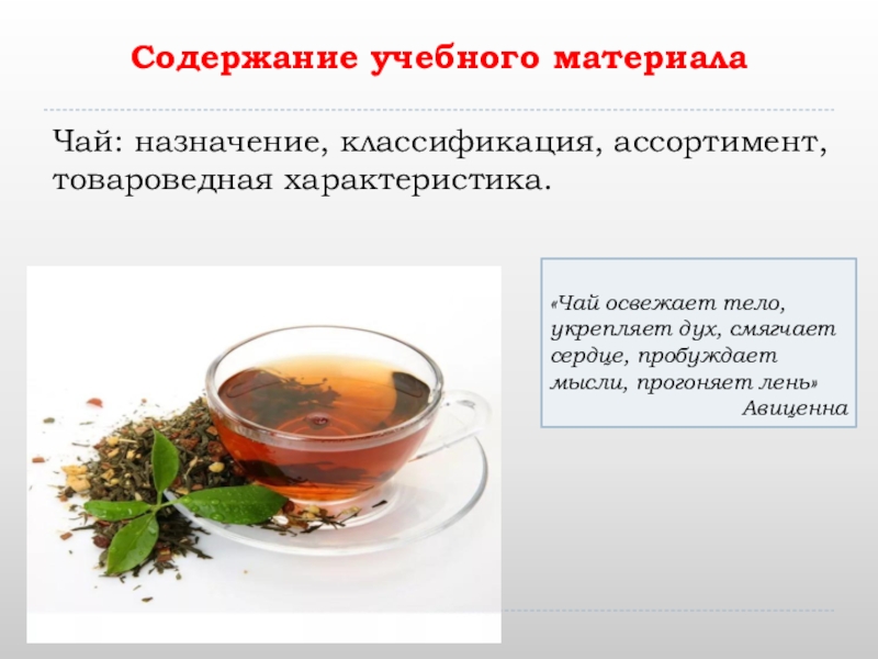 Реферат: Товароведная характеристика и основы получения зелёного чая